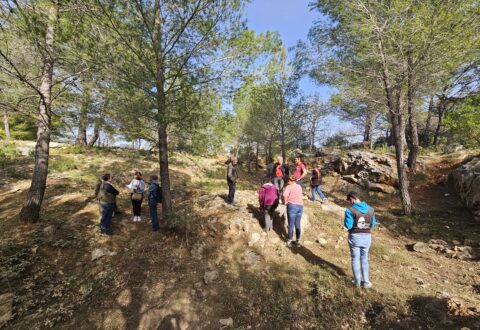 Conseil scientifique et prospectif du 21 mars 2024
